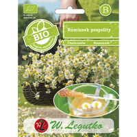 Rumianek pospolity Legutko