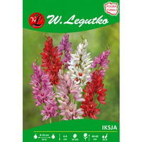 Iksja mieszanka seria tradycyjna Legutko