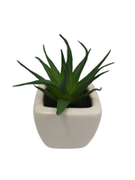 Sztuczny kaktus 10 cm Comfort Living