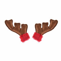 Rogi renifera - spinki