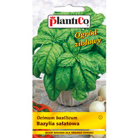 PlantiCo Bazylia sałatowa