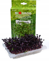 Kiełkownica w tacce Bioogród Zielona Czuprynka