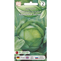 Kapusta głowiasta biała Kamienna Głowa - późna  1g  Seria bazowa Legutko