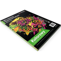 Papier ksero A4 MIX fluorescencyjny XEM1002N, opak.=100arkuszy(4 kolory X 25arkuszy)