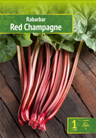 Rabarbar Red Champagne Wybór "I" 1 Szt.