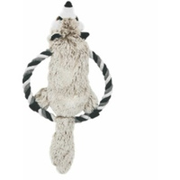 Frisbee SZOP Inter-Point