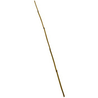 Tyczka prosta 75 cm 8/10 mm