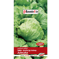 Sałata Juleczka PlantiCo