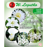 Kompozycja biała Harmonia Barw Wiosna Legutko