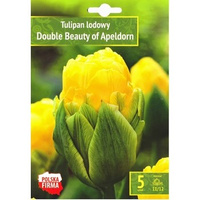 Kapers Tulipa - Tulipan Double Beauty of Apeldoorn 11/12 5 szt. Benex