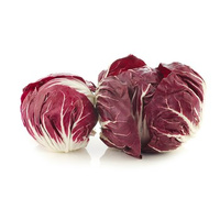 CYKORIA RADICCHIO WŁOCHY 1SZT