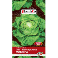 Sałata Michalina PlantiCo