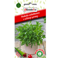 Rukola sałatkowa PlantiCo