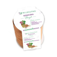 Zestaw bazylii Legutko