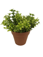 Sztuczna roślinagwiazda 12,5 cm Comfort Living