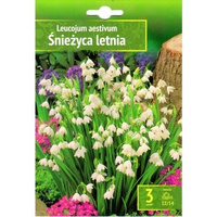 Śnieżyca letnia 3 szt. Benex