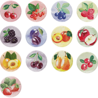 Zakrętka fi66 pasteLOVE owoce - 10szt.