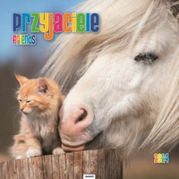 Kalendarz ścienny duży Przyjaciele