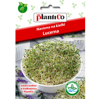 Nasiona na kiełki - Lucerna 20g PlantiCo