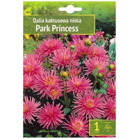 Kapers Dahlia - Dalia Park Princess 1 szt. Benex