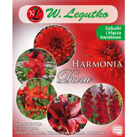 Kompozycja czerwona Harmonia Barw Wiosna Legutko