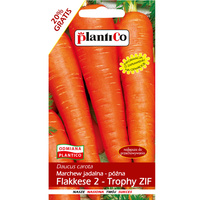 Marchew jadalna Flakkese2-Trophy ZIF PlantiCo