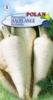 Pietruszka Korzeniowa Halblange Polan