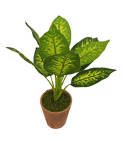 Sztuczna roślina 38 cm Comfort Living