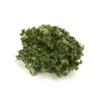 SAŁATA FRISEE KL.I POLSKA 1SZT