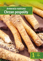 Armoracia Rusticana - Chrzan Pospolity Wybór "I" 1 Szt.