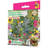 Mieszanka roślin wabiących motyle 125g Legutko