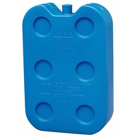 Wkład chłodniczy 1000g