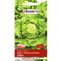 PlantiCo Sałata Saba
