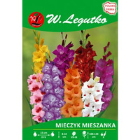 Mieczyk mieszanka seria tradycyjna Legutko