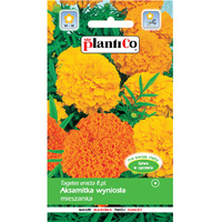 PlantiCo Aksamitka wyniosła mieszanka