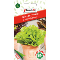 Sałata rzymska Plantico