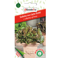 Sałata, na cięte listki, kędzierzawa czerwona PlantiCo