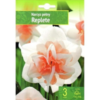 Narsissus - Narcyz Replete 3SZT.