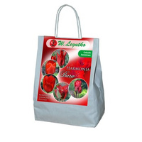 Kompozycja czerwona - Harmonia Barw Legutko