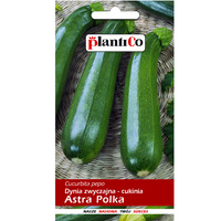 Dynia zwyczajna -cukinia Astra Polka PlantiCo