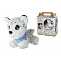 Chi Chi Love Happy Husky