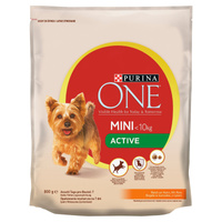 Purina ONE MINI Active Karma dla psa Kurczak Ryż 800g
