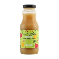 OWOLOVO Smoothie jabłko gruszka agrest 250 ml