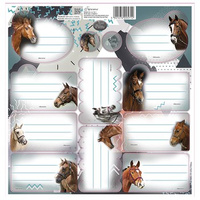 Beniamin Naklejki na zeszyty Nice and Pretty