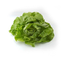 SAŁATA MASŁ (16) KL.I PL 1SZT