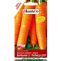 Marchew jadalna Berlikumer2-Perfekcja GOF PlantiCo