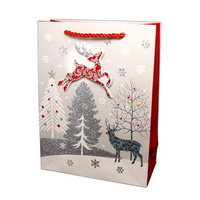 ty-20s torebka prezentowa świąteczna, 3D, bogaty brokat, hologramstamping