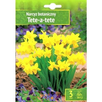 Narcyz Tete-A-Tete 3szt . Benex