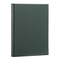 Segregator A4 Panorama 25mm 4R zielony